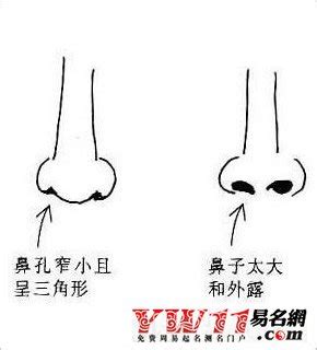 鼻孔一大一小面相